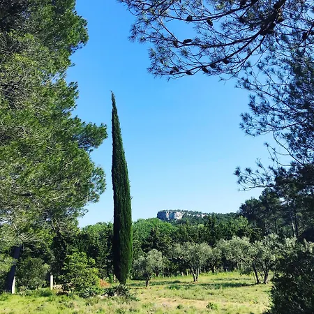 Cabane De La Leque Fontvieille Esterno foto