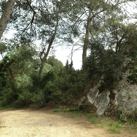 Cabane De La Leque Fontvieille Esterno foto