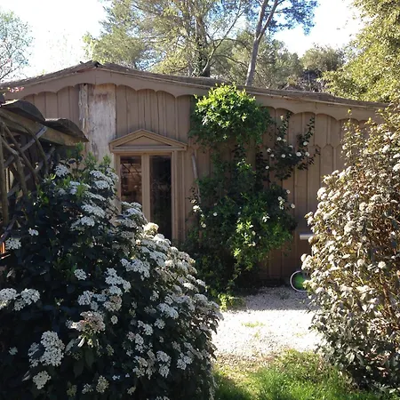 Cabane De La Leque Fontvieille Esterno foto