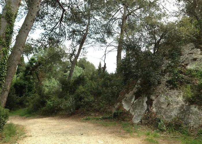 Cabane De La Leque