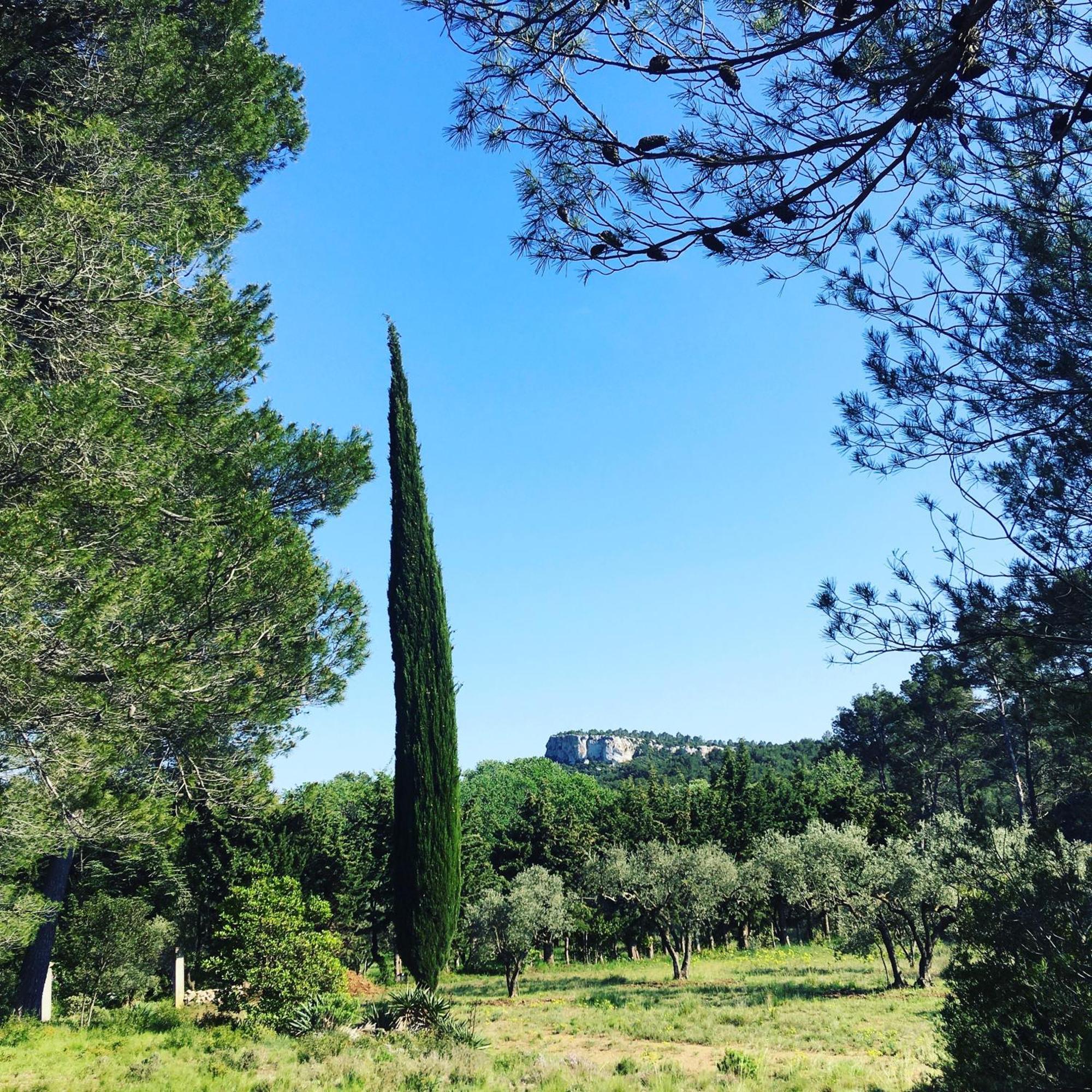 Holiday home De La Leque Fontvieille