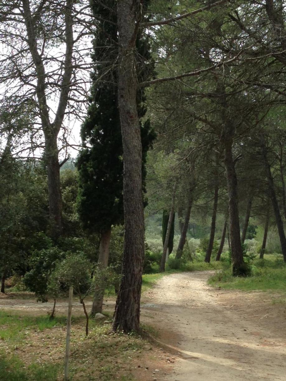 De La Leque Holiday home Fontvieille