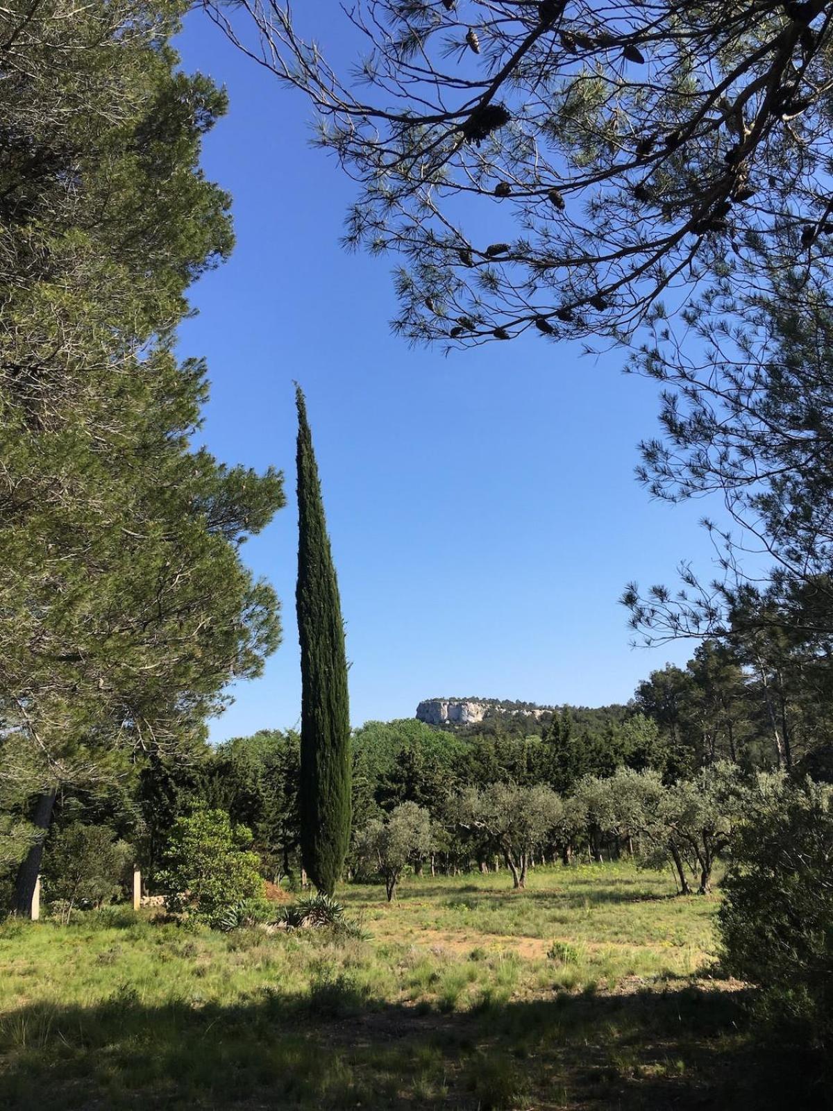 De La Leque Fontvieille